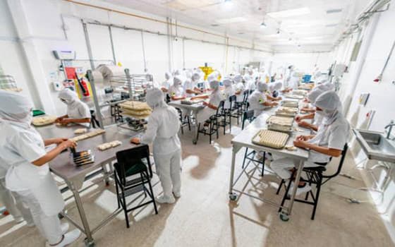 spring roll food factory