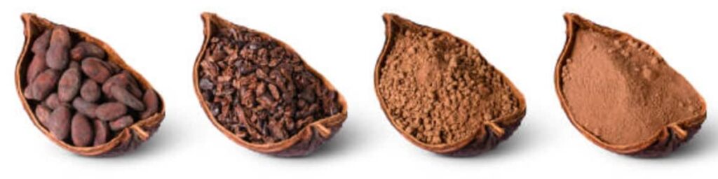 Cocoa Bean Cocoa Nibs Cocoa Powder