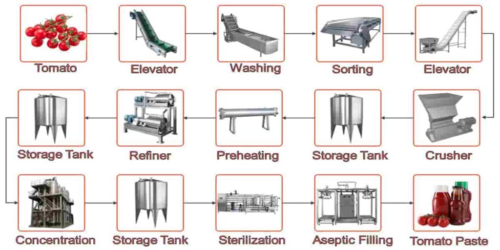 Tomato Paste Processing Flow