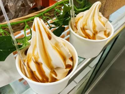 ice cream machines making soft serve