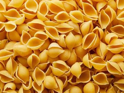 macaroni shell